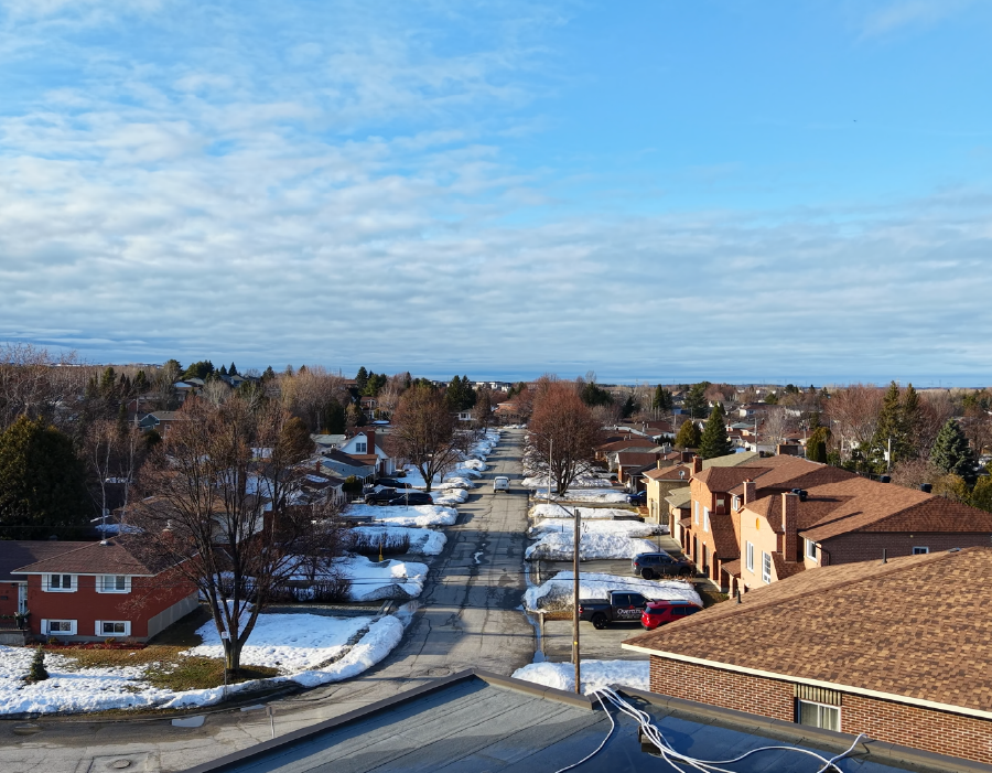 Aerial Surveys